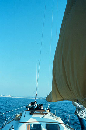 1975ss_mardelrey.jpg