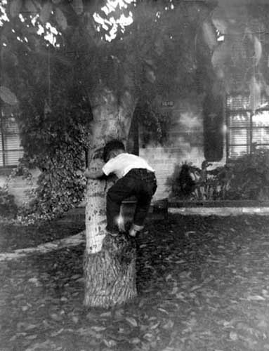 1955mic_ohiotreeclimb.jpg